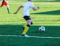 东北虎雄踞,主场,江苏挑战能,B体育官网,APP下载,注册领彩金,官方网站,网站入口