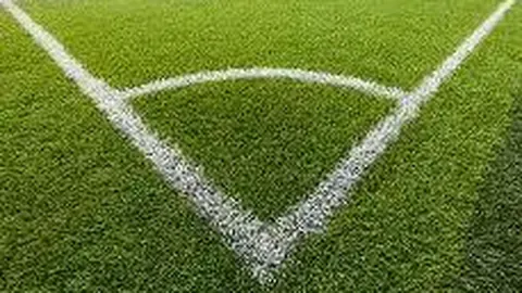 湖南双牌：夯实体育教育基础 振兴校园活力源泉