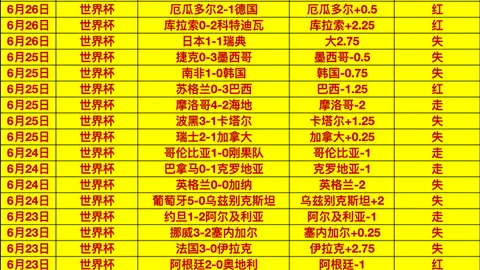 2026年决赛挑战：兹维列夫面对辛纳或德约的必胜信念